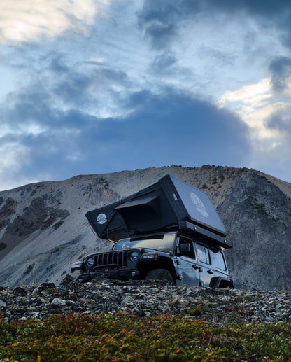 Expedition Max